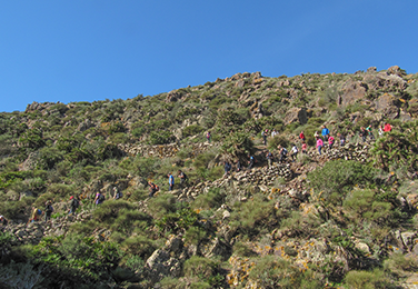 Senderos de Requena y Cerro del Cinto, Rodalquilar.