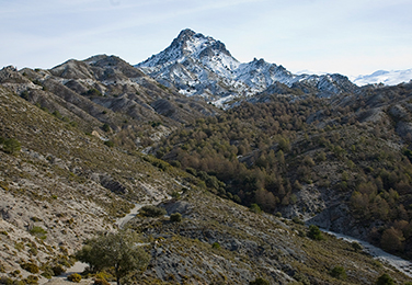 Arenales del Trevenque
