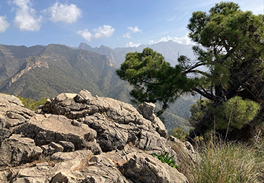 Frigiliana - Parque Natural de las Sierras de Tejeda, Alhama y Almijara