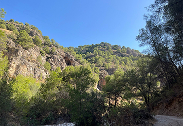 Frigiliana - Río Higuerón. Parque Natural de las Sierras de Tejeda, Alhama y Almijara.