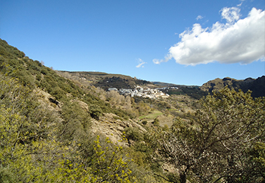 Las Carihuelas de La Tahá