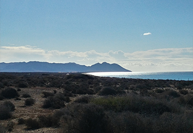 Retamar, Torregarcía, San Miguel de Cabo de Gata