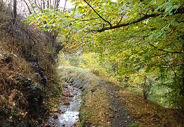 Senda del Agua-Castañar de Paterna